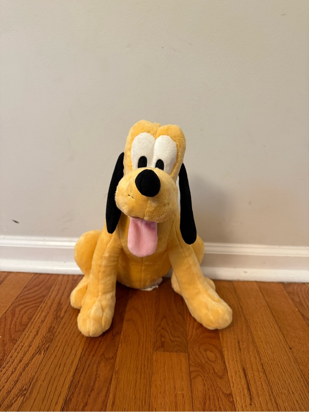 Plush Pluto stuffed animal from Disney park